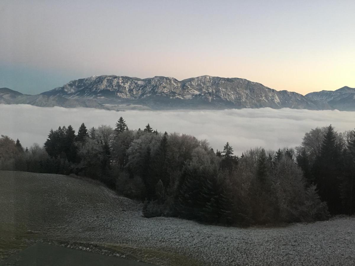 Attersee Luxury Design Villa With Dream Views, Large Pool And Sauna ヌスドルフ・アム・アターゼー エクステリア 写真